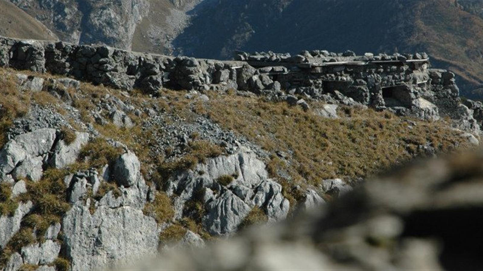 showreel1