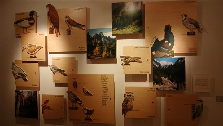 Centro Visite del Parco Naturale delle Dolomiti Friulane di Andreis