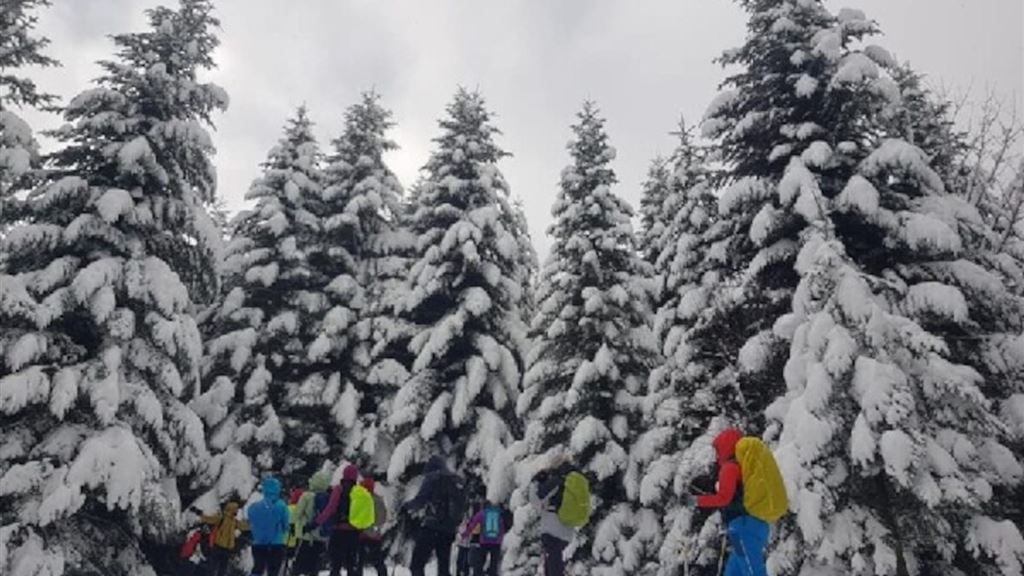 Con le ciaspole in Val Grande da Piancavallo