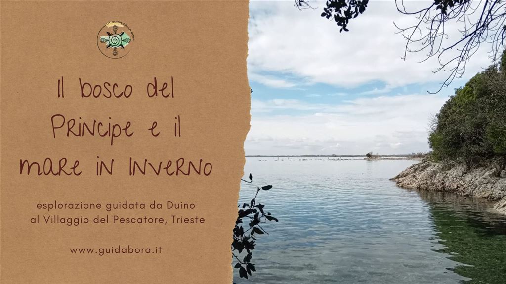 Duino e il Villaggio del Pescatore: il bosco del Principe e il mare d’Inverno