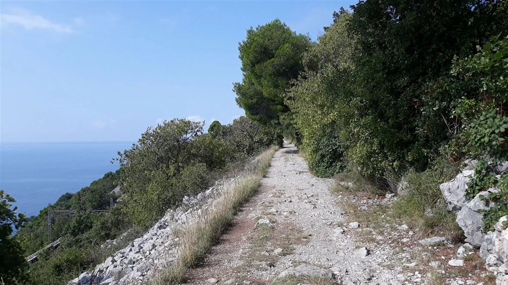Il Sentiero della Salvia: inverno vista mare