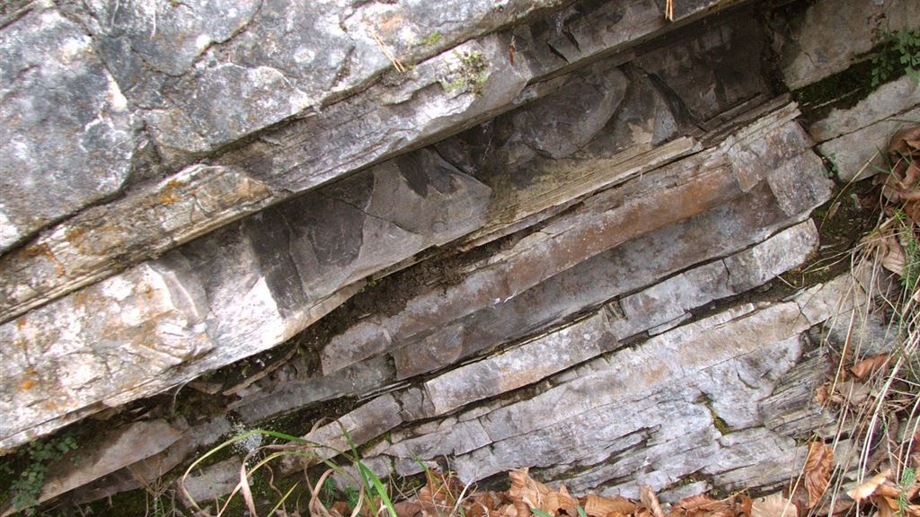 I sentieri geologici del Parco: Paleolago di Forni di Sotto
