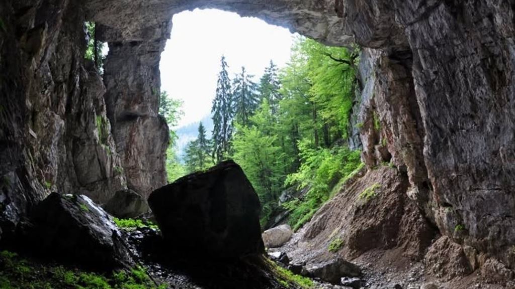 VagoxMonti. Il magico Landre Scur e dinosauro.