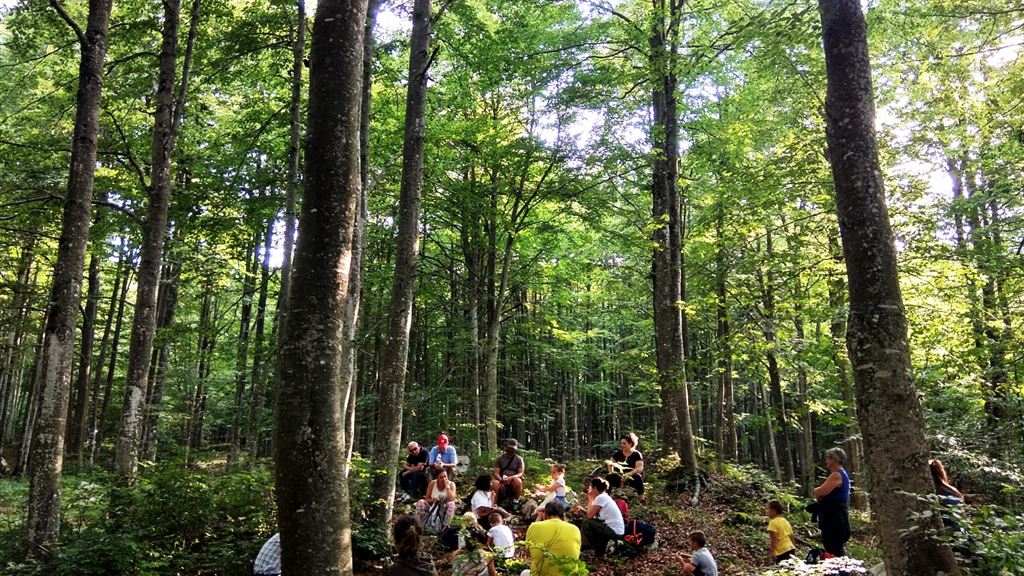 Venerdì natura: lo scienziato nel bosco