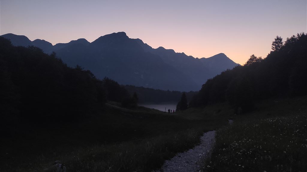 La voce della notte. Suoni e presenze nel bosco.