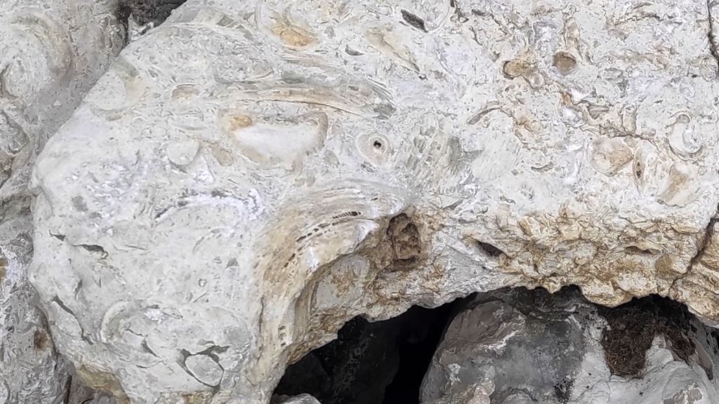 Sedimenti antichi e rocce del Cretaceo a Piancavallo.