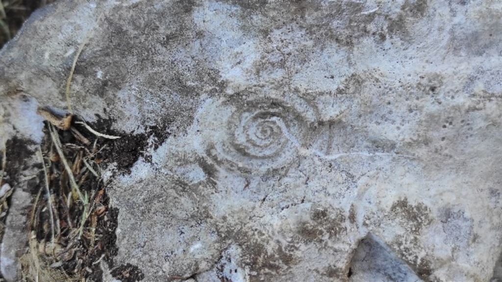 Tra rocce e fossili in Piancavallo.